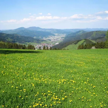 Schwarzwald-ferienwohnung Auf Dem Bauernhof, Cleaning Included * Schuttertal