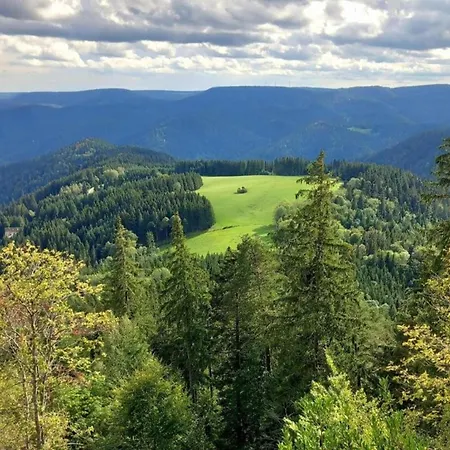 Schwarzwald-ferienwohnung Auf Dem Bauernhof, Cleaning Included * Schuttertal