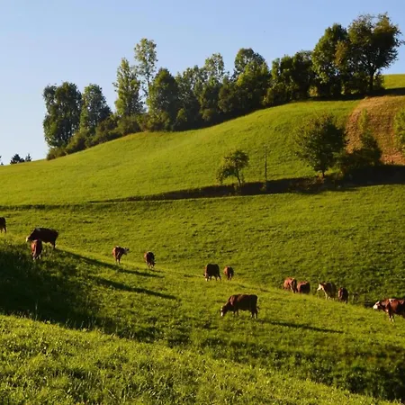 Schwarzwald-ferienwohnung Auf Dem Bauernhof, Cleaning Included Дом отдыха *