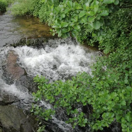 Schwarzwald-ferienwohnung Auf Dem Bauernhof, Cleaning Included *
