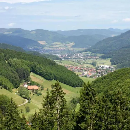 Schwarzwald-ferienwohnung Auf Dem Bauernhof, Cleaning Included * Schuttertal