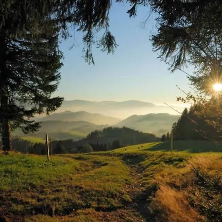 Schwarzwald-ferienwohnung Auf Dem Bauernhof, Cleaning Included Дом отдыха
