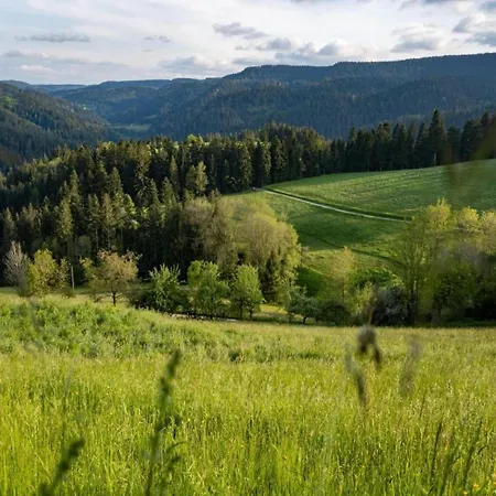 Schwarzwald-ferienwohnung Auf Dem Bauernhof, Cleaning Included Дом отдыха Schuttertal