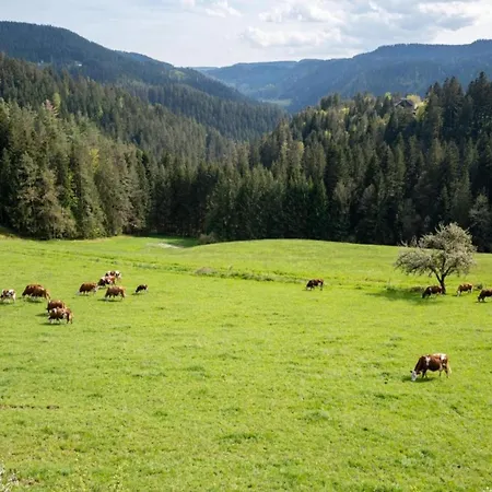 Дом отдыха Schwarzwald-ferienwohnung Auf Dem Bauernhof, Cleaning Included Schuttertal